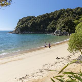 Te Pukatea Bay, Abel Tasman