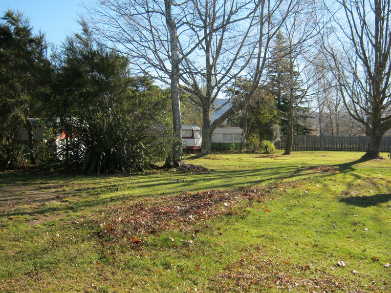 Sites in the Trees