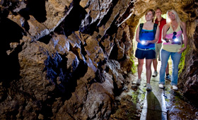 Karangahake Gorge Tunnel Walk