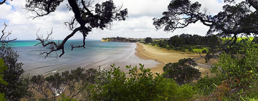 Coromandel