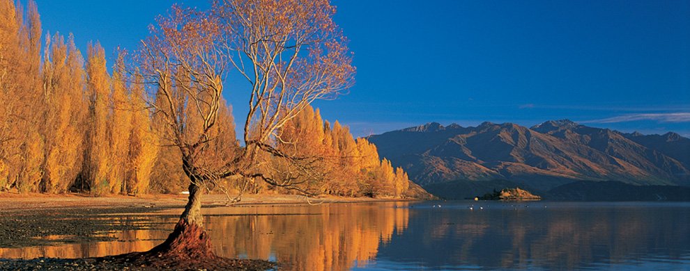 Wanaka