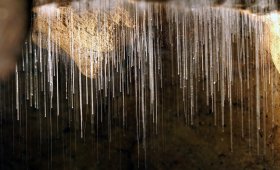 Waitomo Caves