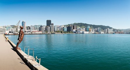 Lower North Island Coastal Exploration