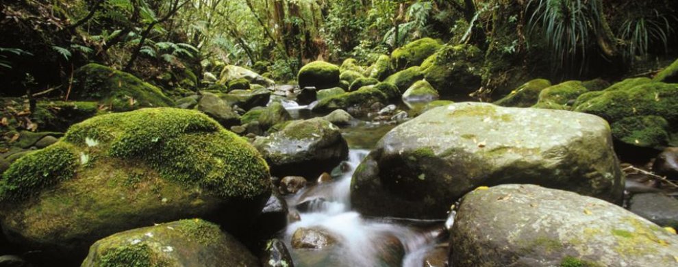 Egmont National Park, Taranaki