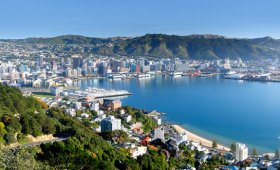 View Wellington from above