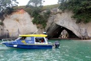 glass bottom boat