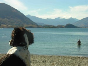 Man swimming in Lake Wanaka