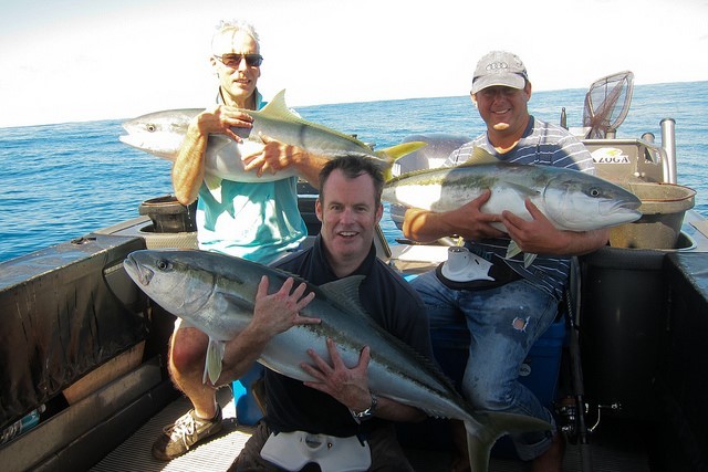 Kingfish fishing in New Zealand